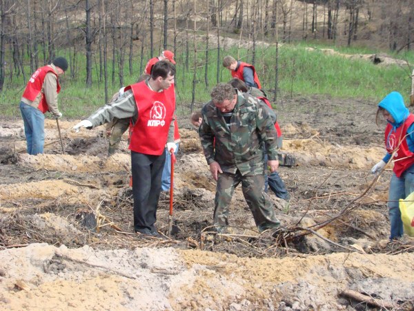 Рязанские коммунисты участвовали в посадке леса