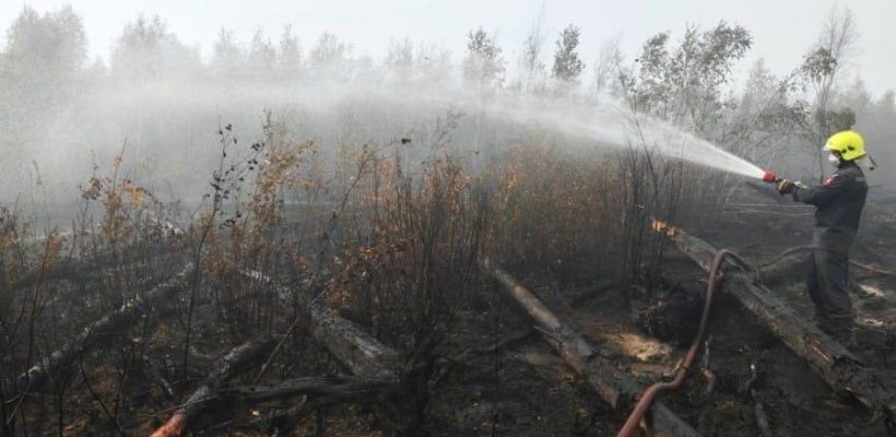 Первый секретарь ЦК ЛКСМ Владимир Исаков комментирует ситуацию с пожарами в Рязанской области