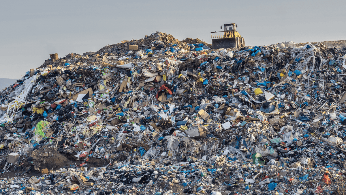 «Это катастрофа»: Глава Росприроднадзора сравнила количество мусора в РФ с площадью Греции