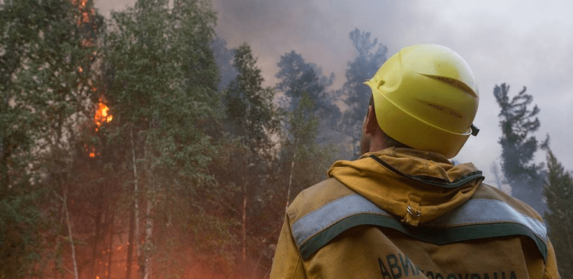 В России по-прежнему горят сотни тысяч гектаров леса