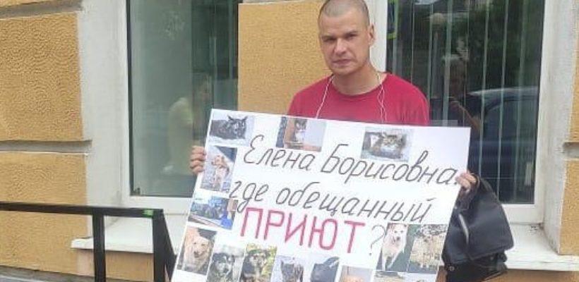 Рязанские зоозащитники вышли с одиночными пикетами к зданию администрации.